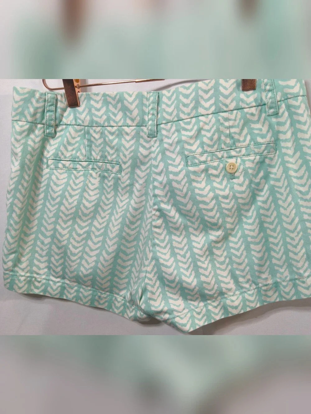 J. Crew Mint and White Patterned Chino Shorts